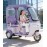 Electric Tricycle With Rain Shelter, Enclosed Shed, Women's Household, Small Elderly People, Commuting, Picking Up And Dropping Off Children, Electric Scoote