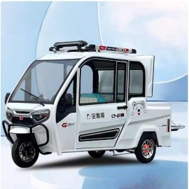  Electric Tricycle, Fully Enclosed, Adult, Household, With Shed, Passenger And Freight, Picking Up Children, National Standard, Elderly, Commuting, Electric Scooter