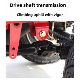 Power Gasoline Three Wheeled Motorcycle Can Be Registered As A Senior Commuting Vehicle, Fuel Powered Household Small Passenger And Freight Dual-Use Vehicle