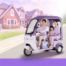 Electric Tricycle With Rain Shelter, Enclosed Shed, Women's Household, Small Elderly People, Commuting, Picking Up And Dropping Off Children, Electric Scoote