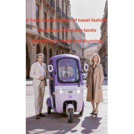 Electric Tricycle With Rain Shelter, Enclosed Shed, Women's Household, Small Elderly People, Commuting, Picking Up And Dropping Off Children, Electric Scoote